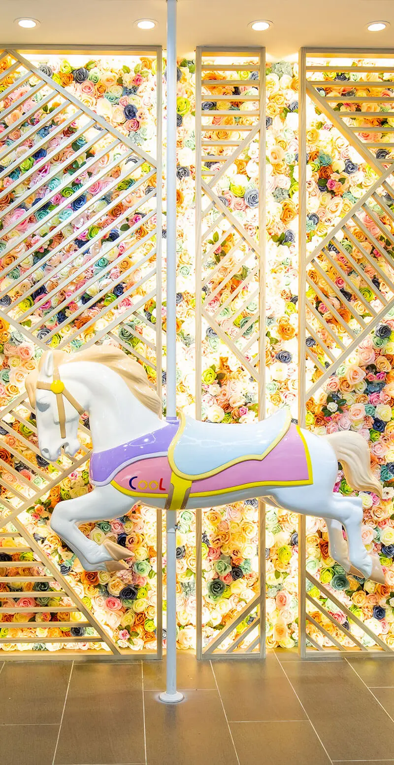 大倉酷眼鏡推薦-平價、時尚